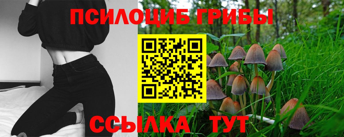 Галлюциногенные грибы Psilocybe  Вход с VPN  Пугачёв  Галлюциногенные грибы Cubensis 