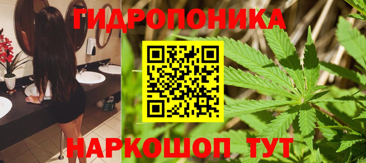 Каннабис AK-47  МАРИХУАНА Ganja  Пугачёв  Шишки марихуана MAZAR  Вход с VPN 